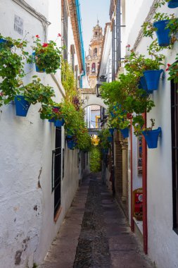 Sokakları çiçeklerle süslenmiş ve çubuklu windows tipik bir