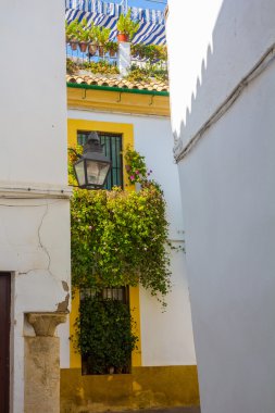 Tipik pencere eşiği ile Izgaralar ve şehrin dekoratif çiçek 