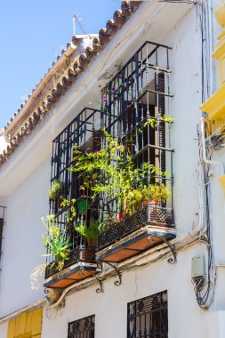 Tipik pencere eşiği ile Izgaralar ve şehrin dekoratif çiçek 