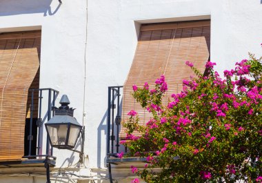 Tipik pencere eşiği ile Izgaralar ve şehrin dekoratif çiçek 