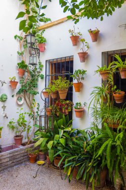 Tipik Fransız pencere eşiği ile ızgara ve dekoratif çiçek