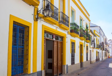 Tipik Fransız pencere eşiği ile ızgara ve dekoratif çiçek