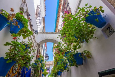 Tipik pencere eşiği ile Izgaralar ve şehrin dekoratif çiçek 