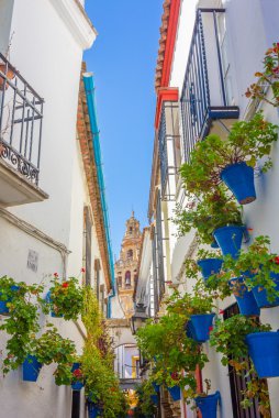 Tipik pencere eşiği ile Izgaralar ve şehrin dekoratif çiçek 