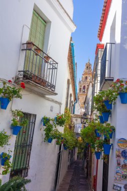 Tipik pencere eşiği ile Izgaralar ve şehrin dekoratif çiçek 