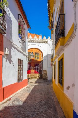 Tipik güzel temiz şehir sokaklarını Cordoba, İspanya