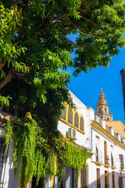 Kordon şehrin sokaklarında normal badanalı evler