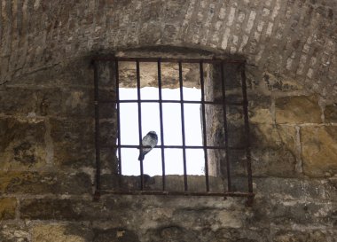Eski demir çit ile taş duvar penceresinde