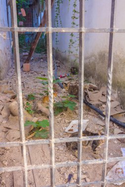 Cordoba, İspanya şehrine Ortaçağ Duvar