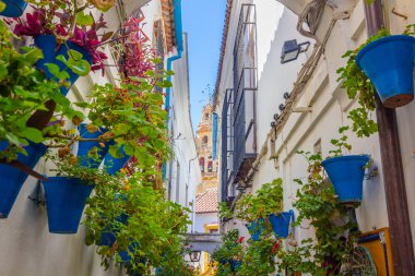 Tipik pencere eşiği ile Izgaralar ve şehrin dekoratif çiçek 