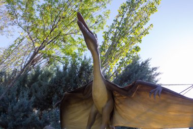Pteranodon dinozor etobur uçan