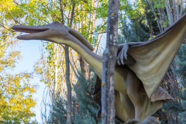 Pteranodon dinozor etobur uçan