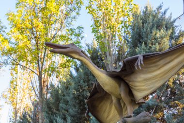 Pteranodon dinozor etobur uçan