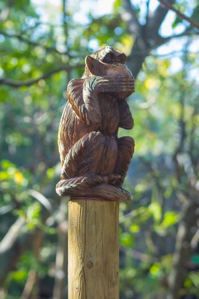 Wood carving monkey covering her mouth — Stock Photo, Image