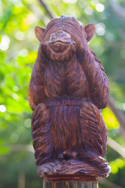 Monkey covering his eyes — Stock Photo, Image