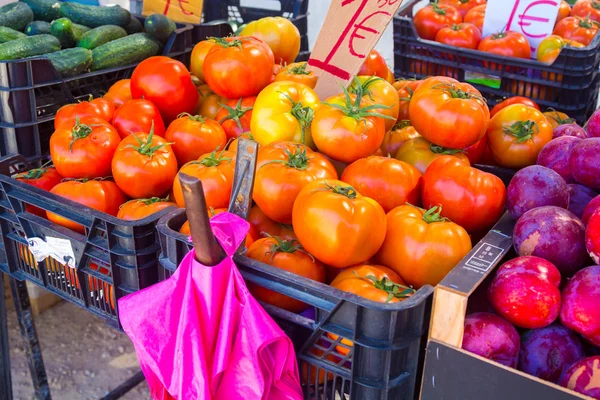 Solanum lycopersicum Frische rote und grüne Tomaten — Stockfoto