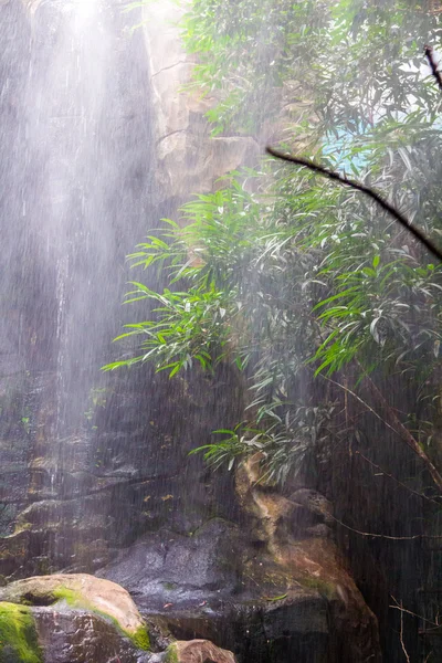 Rain forest during a great storm — Stock Photo, Image