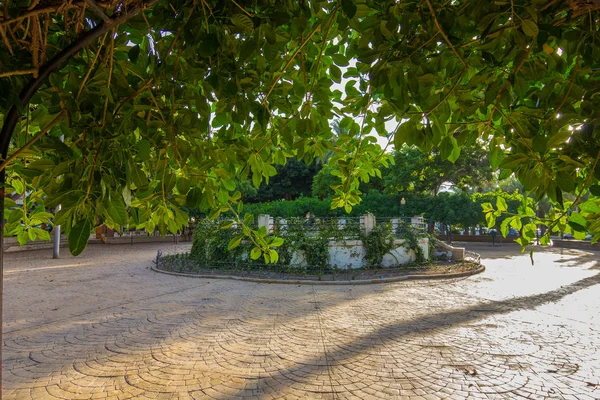 Roślinność i ogrody parku Nicolas Salmeron w Almeria, Hiszpania — Zdjęcie stockowe