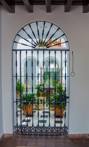 Cortile tipico andaluso decorato con fiori e forgiato g — Foto Stock