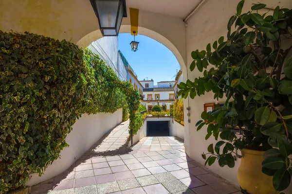 Typical Andalusian courtyard decorated with flowers in the city — Stock Photo, Image