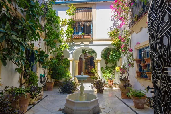 Typisk andalusisk innergård dekorerad med blommor i staden — Stockfoto