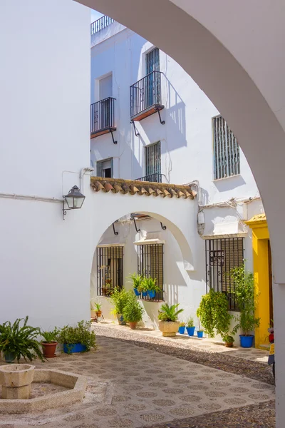 Typical Andalusian courtyard decorated with flowers in the city — Stock Photo, Image