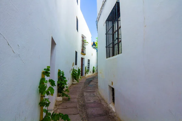 Tipik beyaz evler, Cordoba, İspanya şehrin sokaklarında — Stok fotoğraf