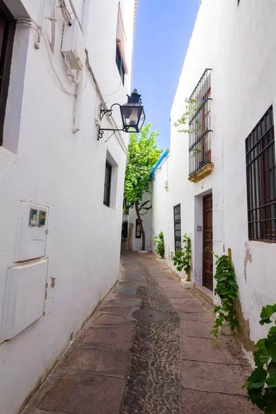 Gatorna i typiska vita hus av staden i Córdoba, Spain — Stockfoto