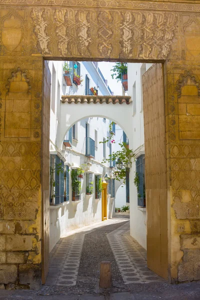 Streets decorated with bows and barred windows typical of the ci — Stock Photo, Image