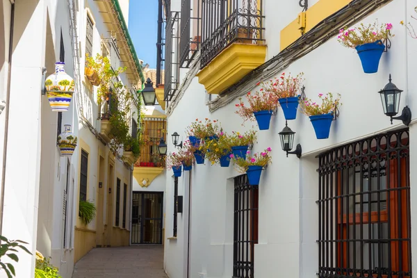 Streets decorated with flowers and barred windows typical of the — Stock Photo, Image