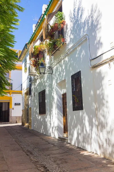 Calles decoradas con flores y ventanas con barras típicas de la —  Fotos de Stock