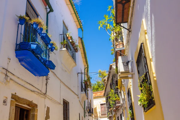 Ventanas típicas con rejillas y flores decorativas en la ciudad —  Fotos de Stock