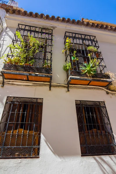 Ventanas típicas con rejillas y flores decorativas en la ciudad — Foto de Stock