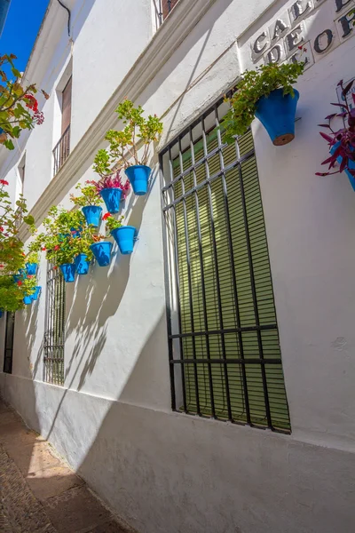 Janelas típicas com grelhas e flores decorativas na cidade — Fotografia de Stock