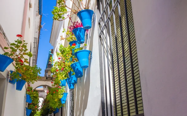 Typische Fenster mit Gittern und dekorativen Blumen in der Stadt — Stockfoto