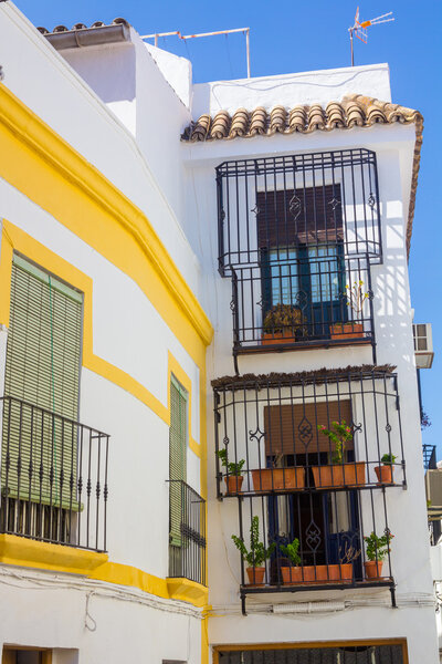 Typical windows with grilles and decorative flowers in the city of Cordoba, Spain