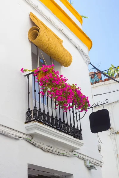 Typical windows with grilles and decorative flowers in the city — Stock Photo, Image