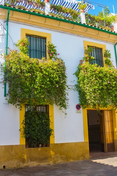 Típicas ventanas francesas con rejas y flores decorativas en el —  Fotos de Stock