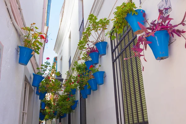 Typiska fönster med galler och dekorativa blommor i staden — Stockfoto