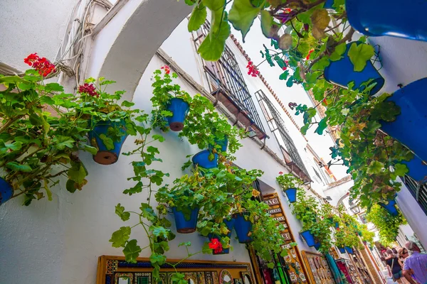 Typische Fenster mit Gittern und dekorativen Blumen in der Stadt — Stockfoto