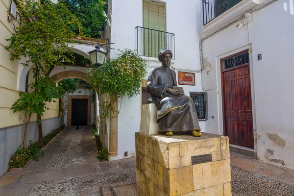 Casas típicas en la ciudad de Córdoba, España —  Fotos de Stock