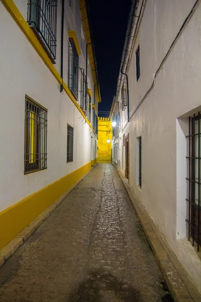 Typique belles rues propres de la ville Cordoue, Espagne — Photo