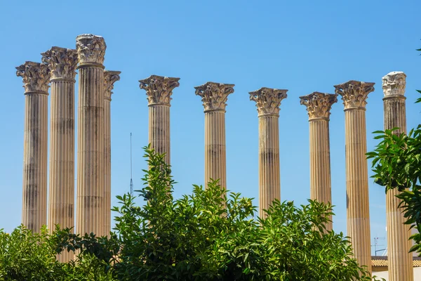 Colunas romanas do segundo século antes de Cristo em Córdoba, Sp — Fotografia de Stock