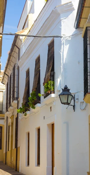 Typical whitewashed houses along the streets of the city of Cord — Stock Photo, Image