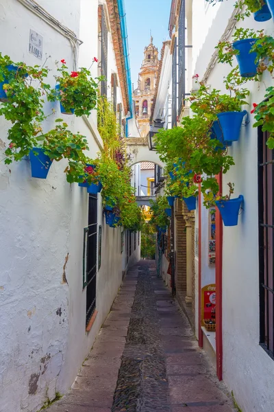 Streets decorated with flowers and barred windows typical of the — Stock Photo, Image