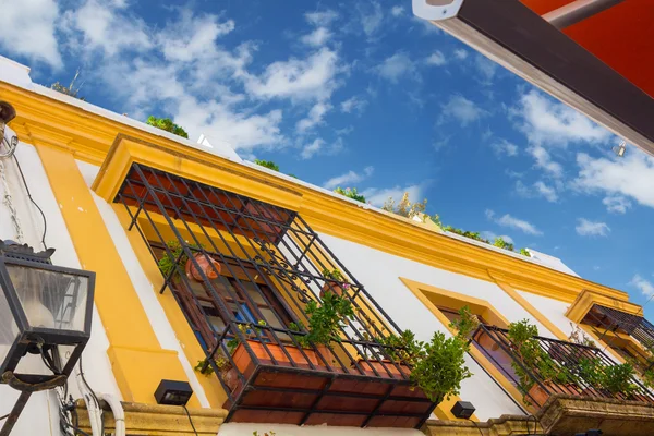 Типичные окна с решетками и декоративными цветами в городе — стоковое фото