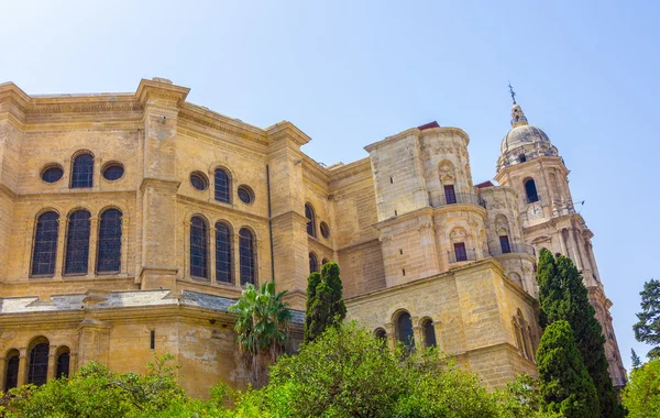 Catedral da Encarnação em Málaga, Espanha — Fotografia de Stock