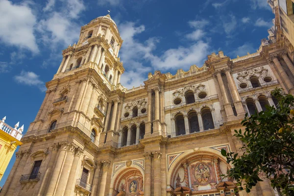 Klokkentoren van de kathedraal van de incarnatie in Malaga, Spanje — Stockfoto