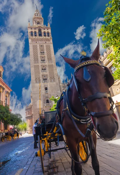 Voiture à cheval à côté de la célèbre Giralda à Séville, Espagne — Photo