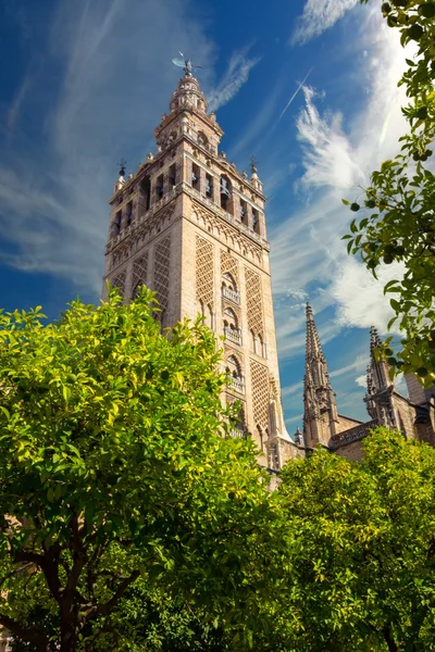 Vista da famosa Giralda em Sevilha, Espanha — Fotografia de Stock